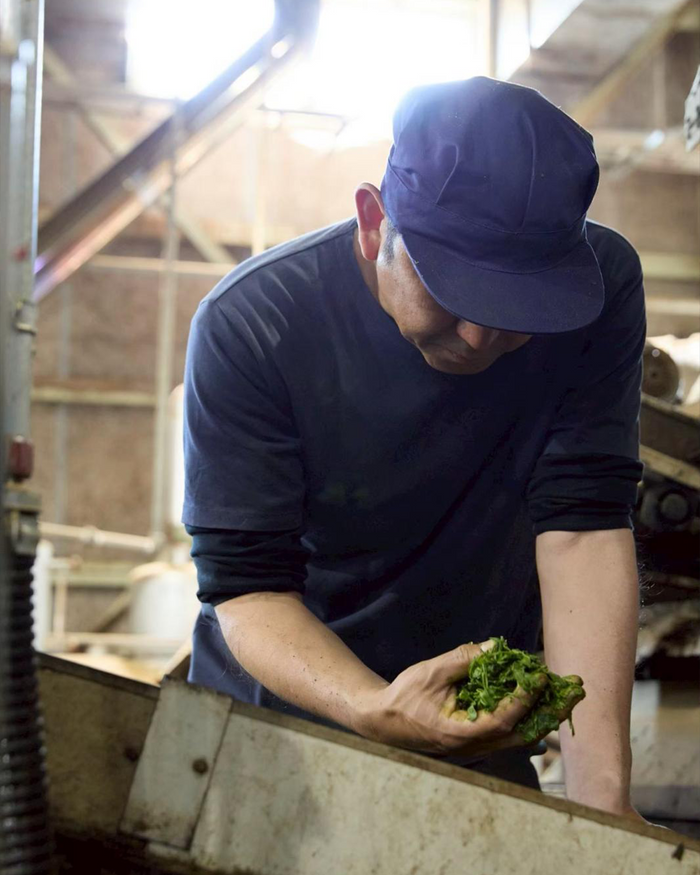 Matcha Farm and JUJUCAFÉ