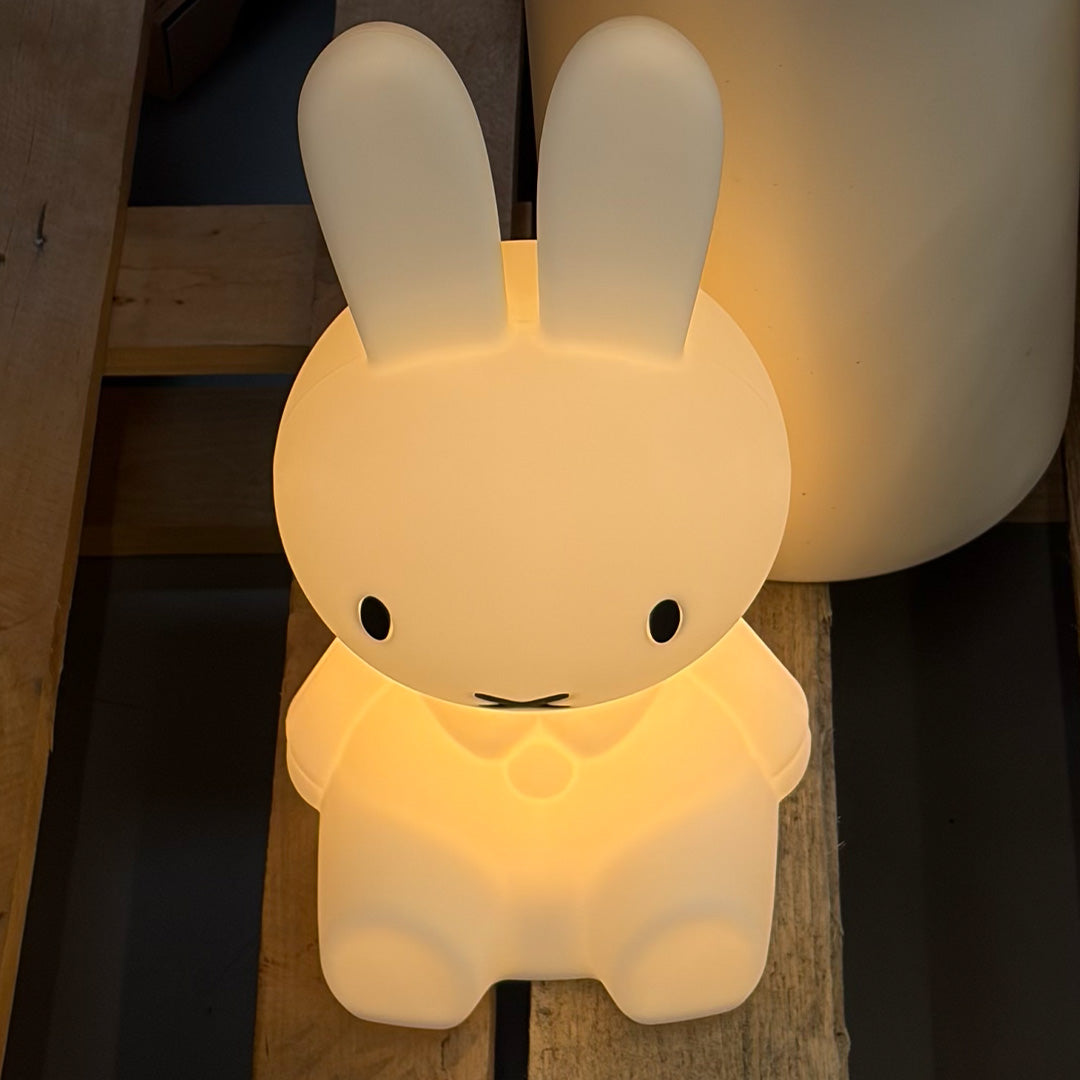 Miffy Shines, 22cm – JUJUHOME