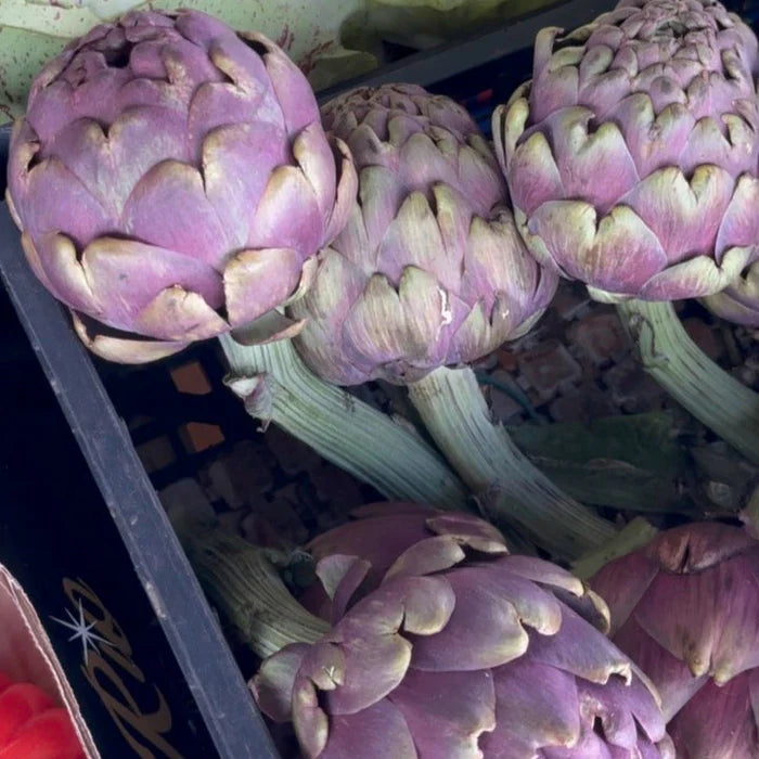 Earl of East - Primavera Estate Soy Wax Candle | Carciofo