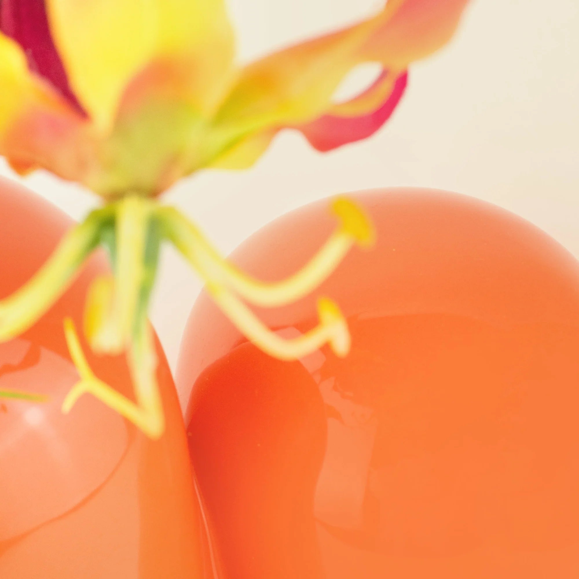 Donkey Products - Arts of Parts Sulcus Vase