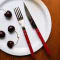 Sabre Paris 4 Pieces Shiny Cutlery Set Burgundy – detail