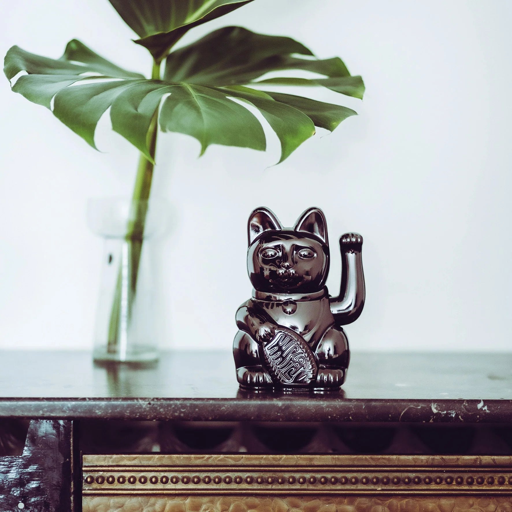 Donkey - Lucky Cat | Glossy Black