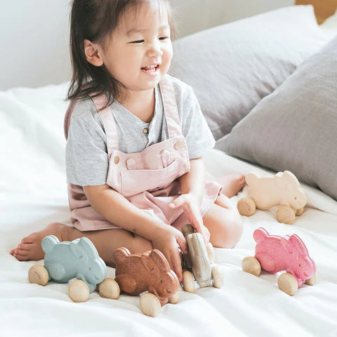 Plan Toys - Push Along Bunny