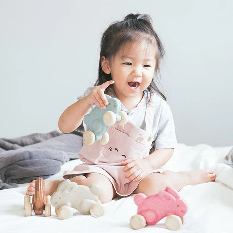Plan Toys - Push Along Bunny