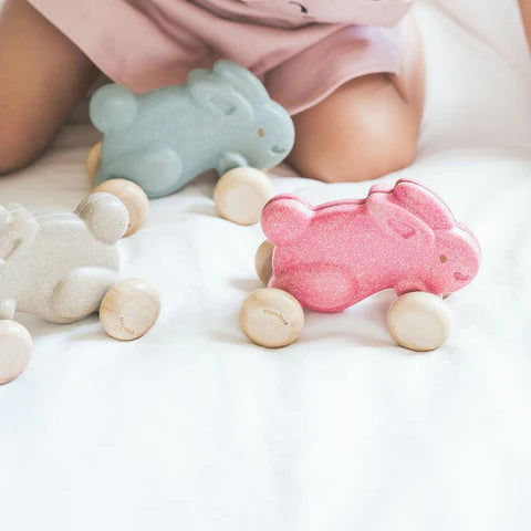 Plan Toys - Push Along Bunny