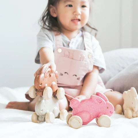 Plan Toys - Push Along Bunny