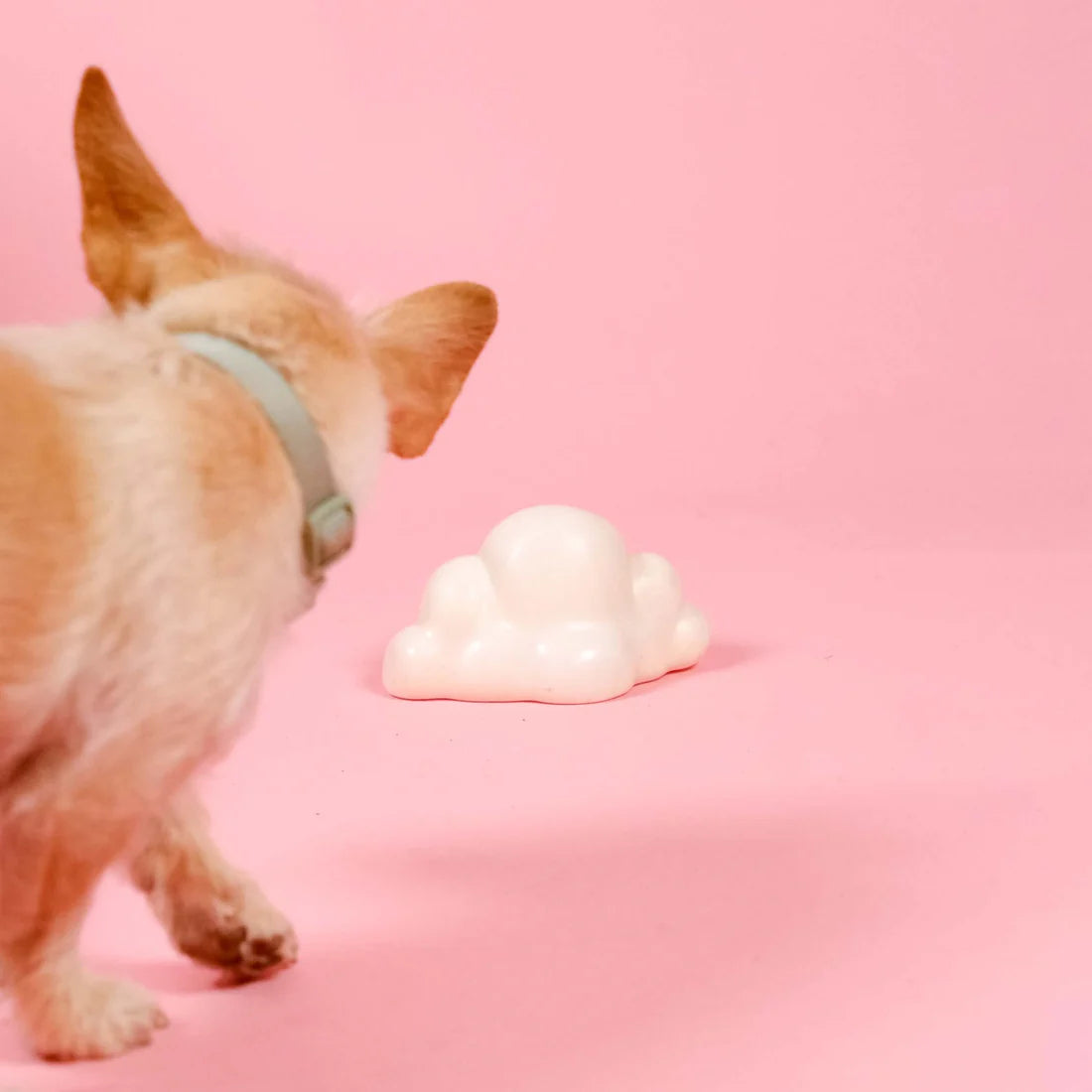 Barc London - Squeaky Dog Toy | Cloud