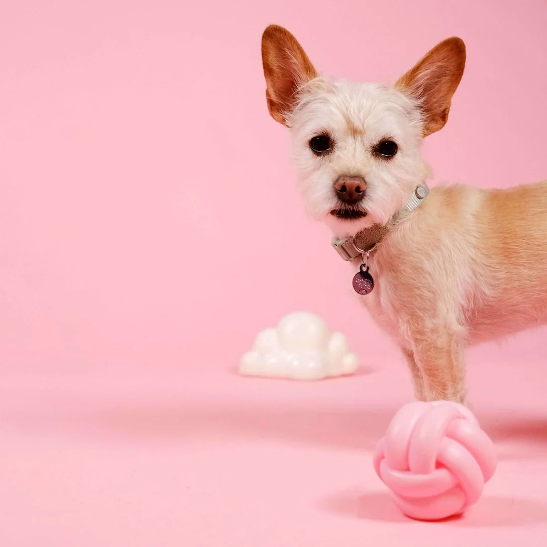 Barc London - Squeaky Dog Toy | Cloud