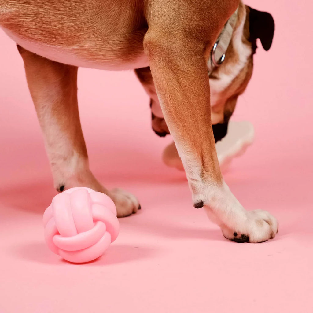 Barc London - Squeaky Dog Toy | Knotball