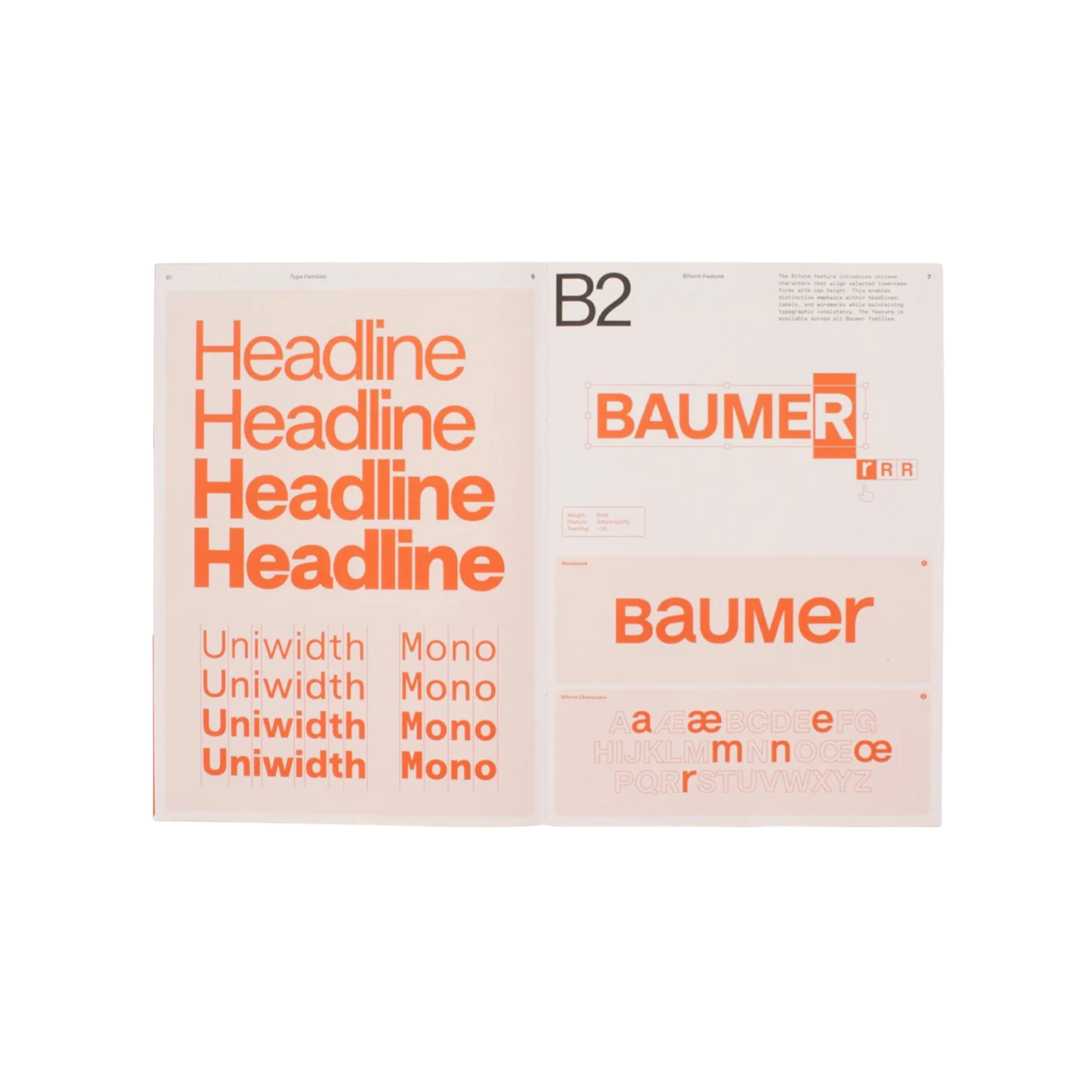 Baumer Specimen – cover
