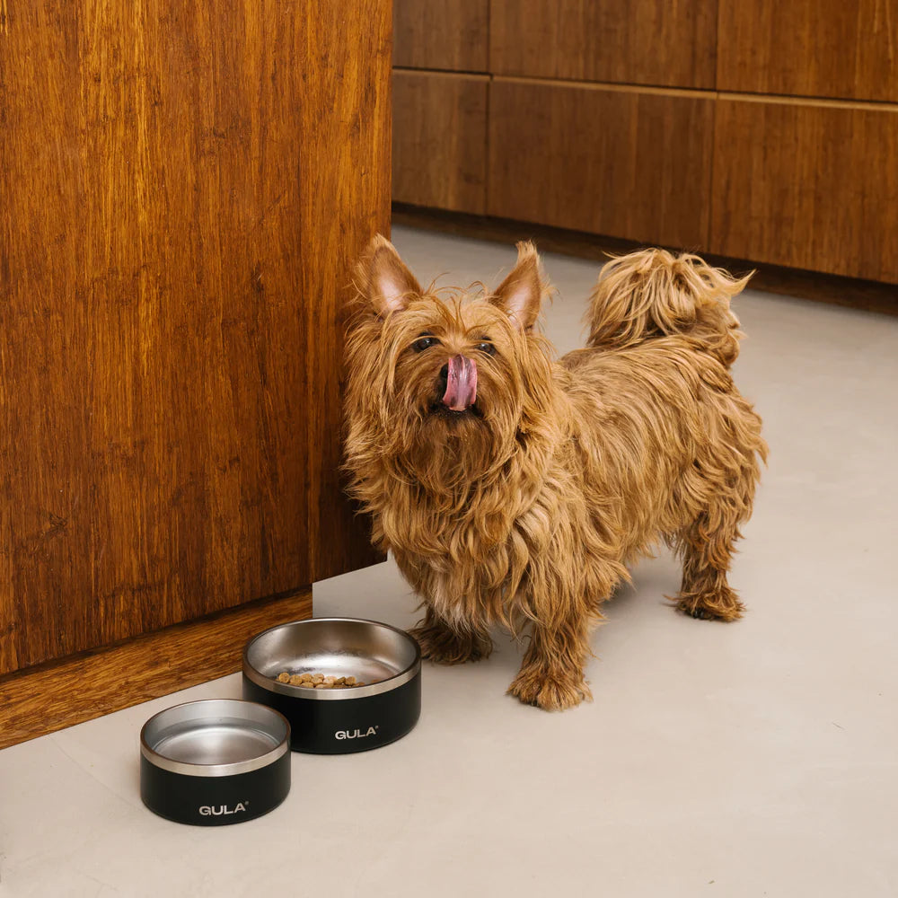 Gula Dog Care - Dog Bowl | Black