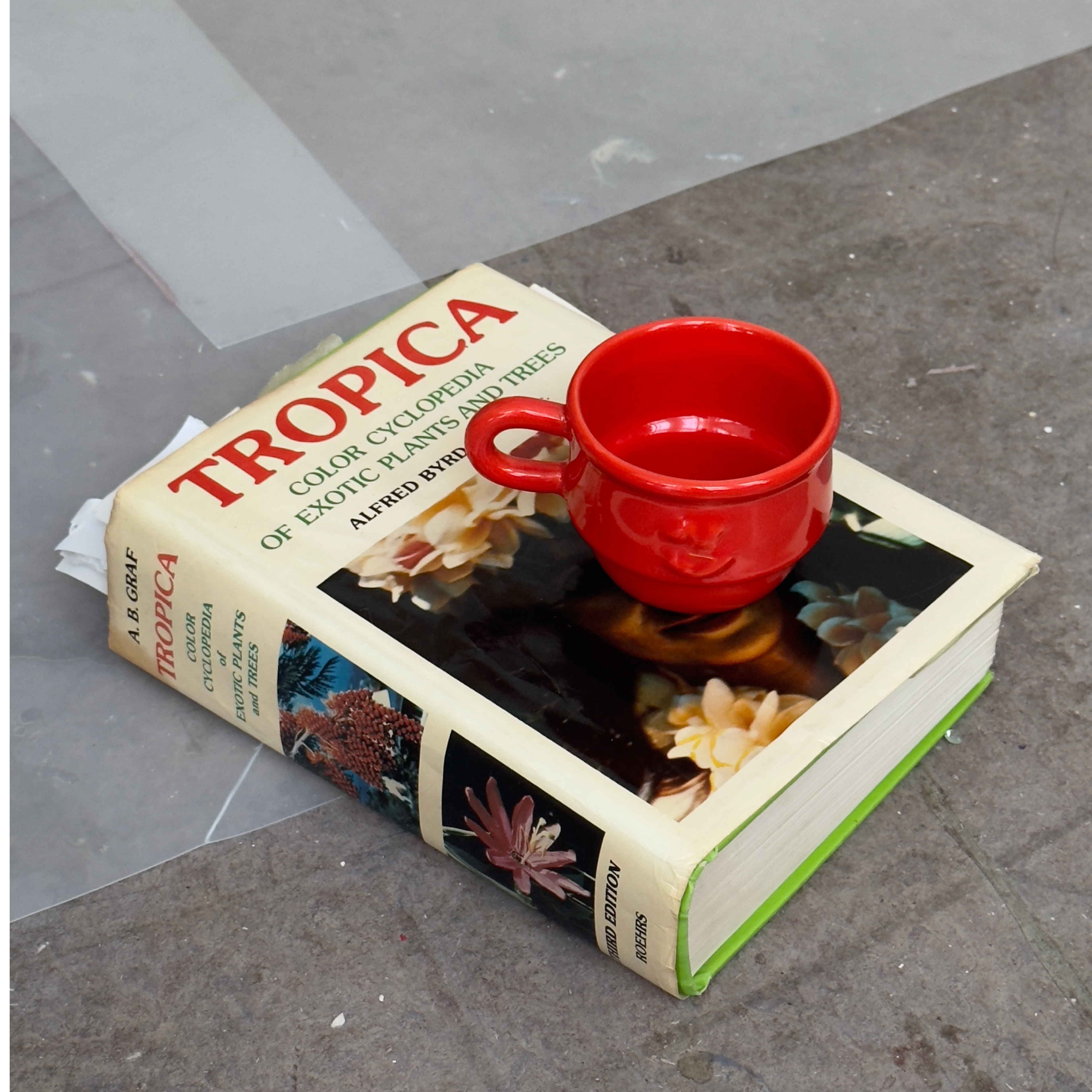 Kantine Cup Set - Red x Freja Wewer