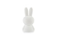 Miffy First Light Lamp, 30cm