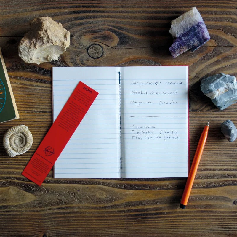 Silvine - Memo Notebook