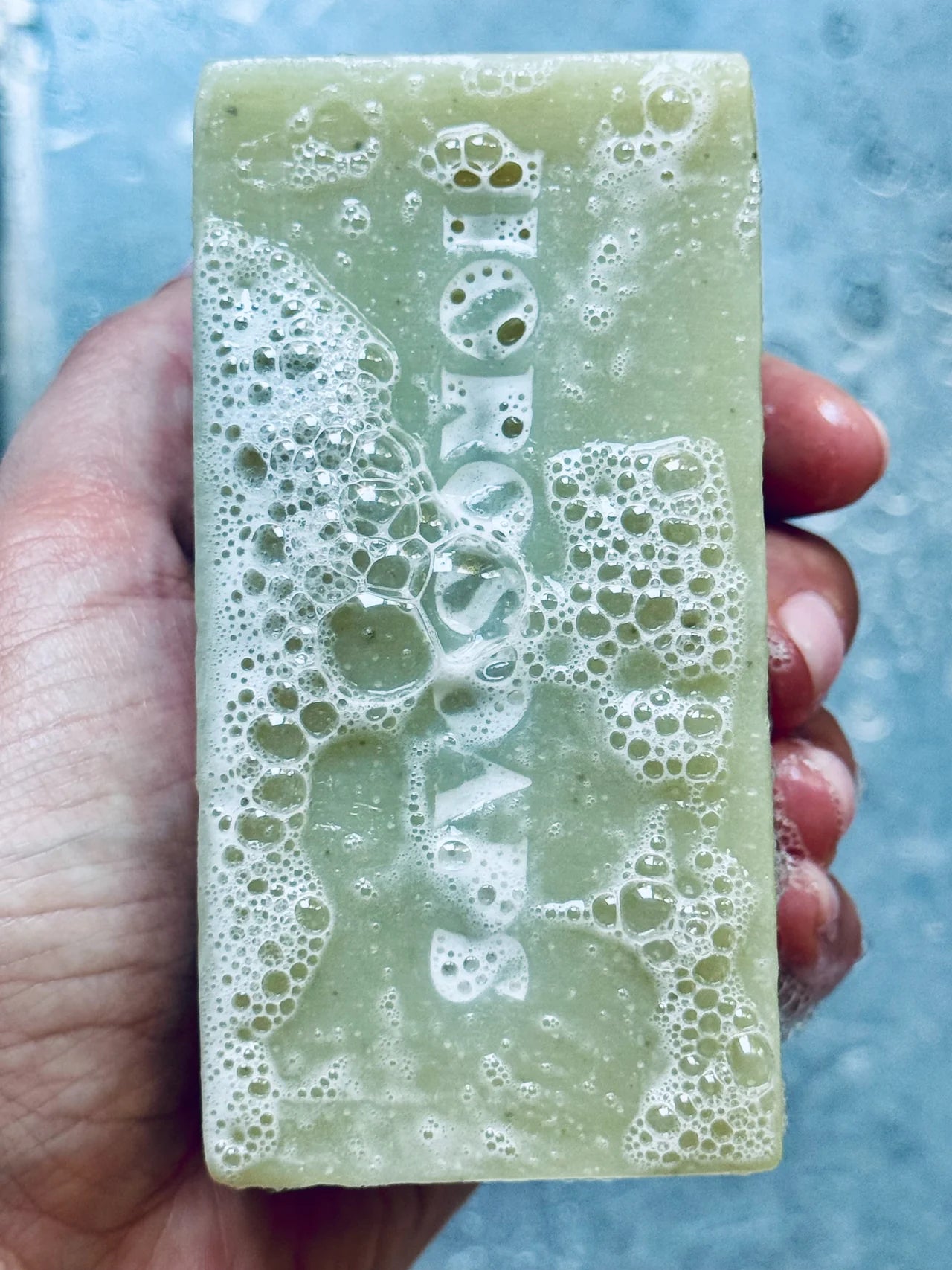 Horosoaps - Bar | Taurus