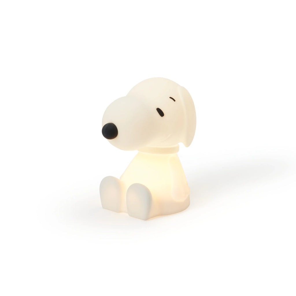 Snoopy Bundle of Light