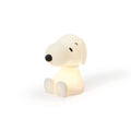 Snoopy Bundle of Light