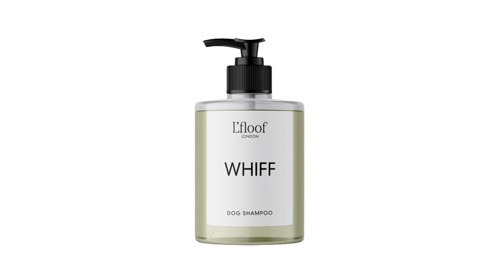 L'Floof - Orange Oil Dog Shampoo