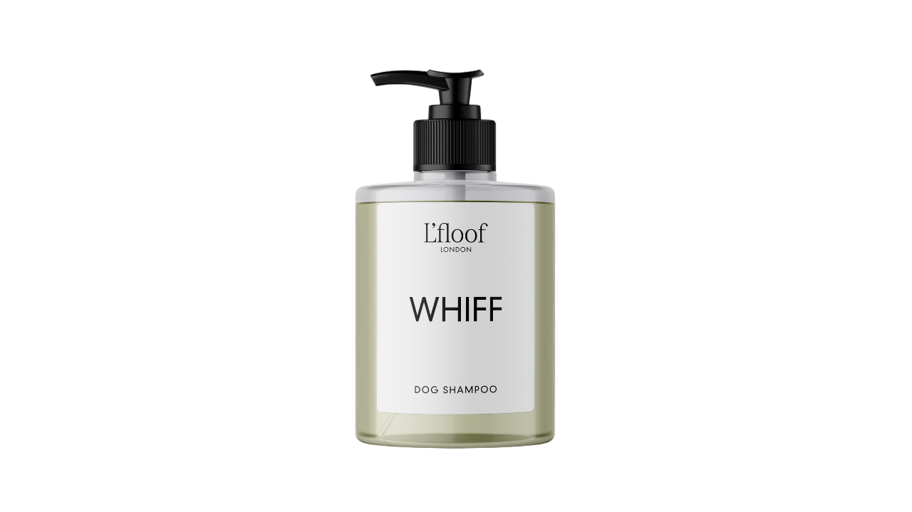 L'Floof - Orange Oil Dog Shampoo