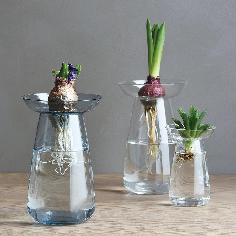 Aqua Culture Vase 120mm