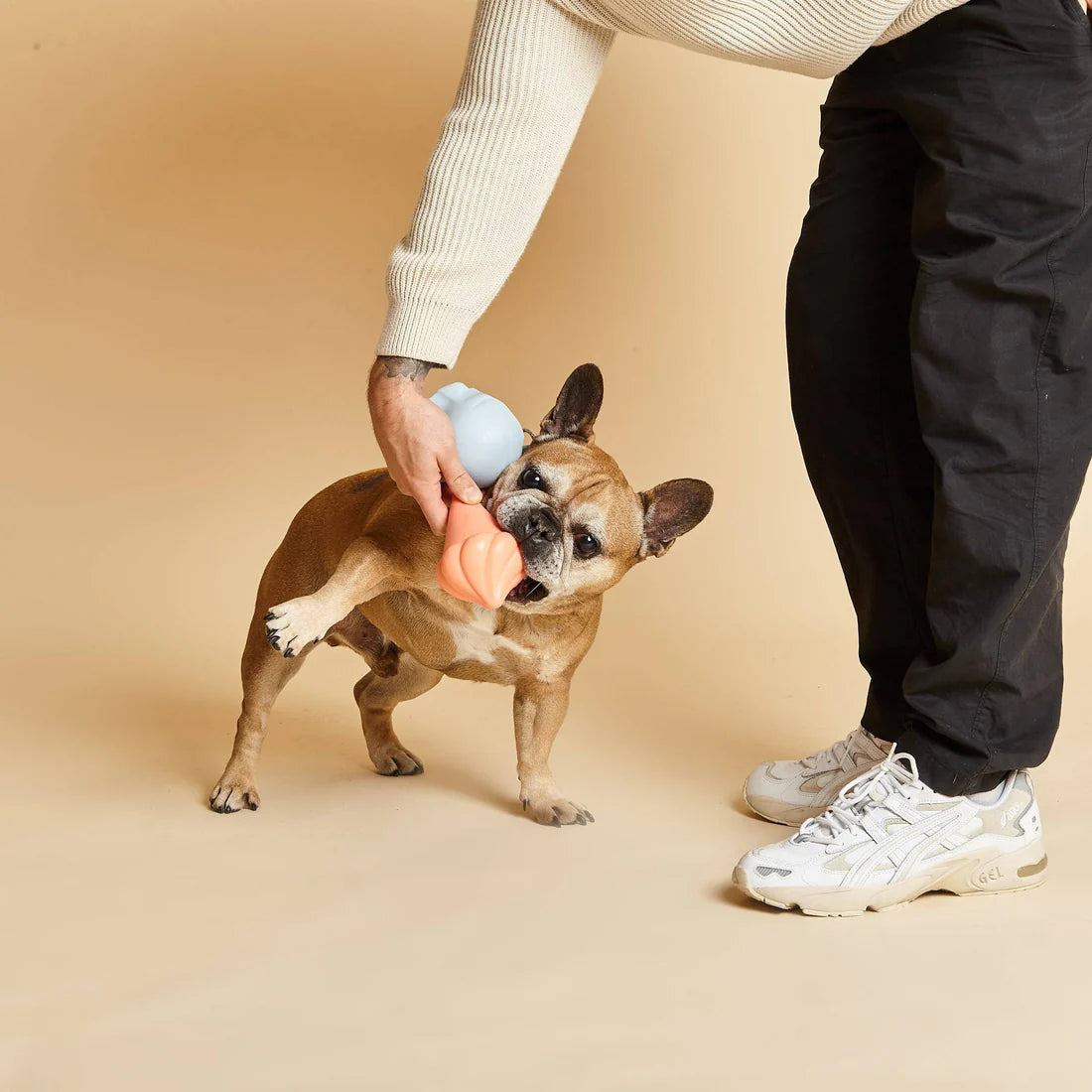 Barc London - Squeaky Dog Toy | Whippy