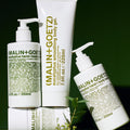 Eucalyptus Hand and Body Scrub