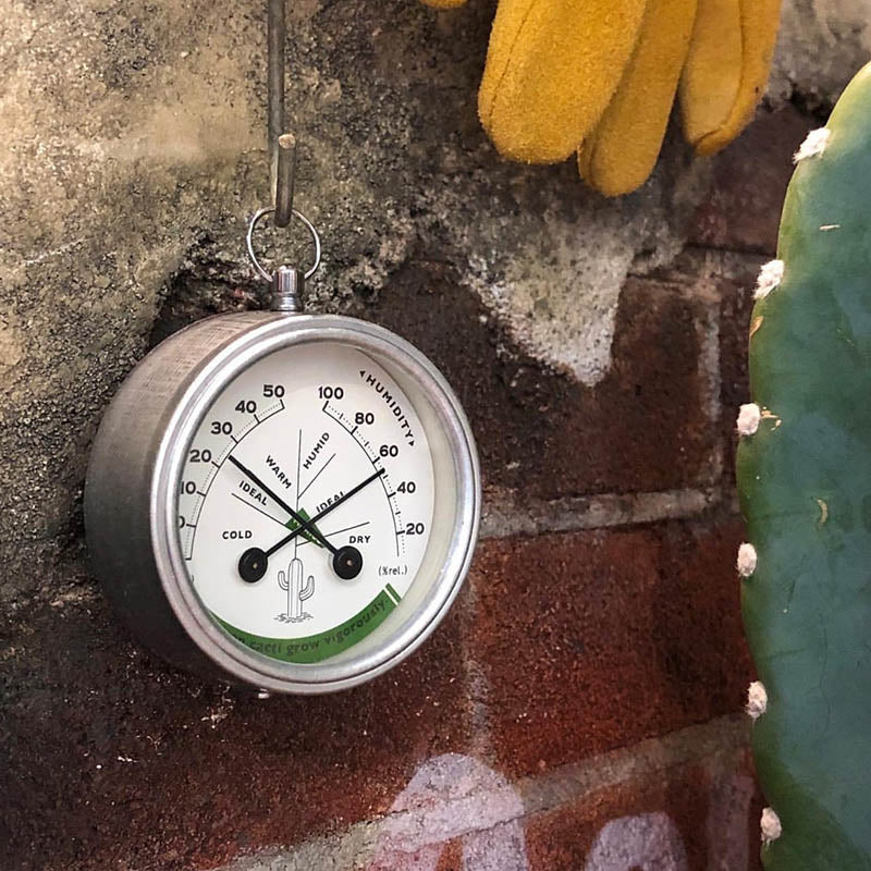 Dulton Thermo-Hygrometer Mexico – detail