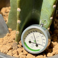 Dulton Thermo-Hygrometer Mexico – detail
