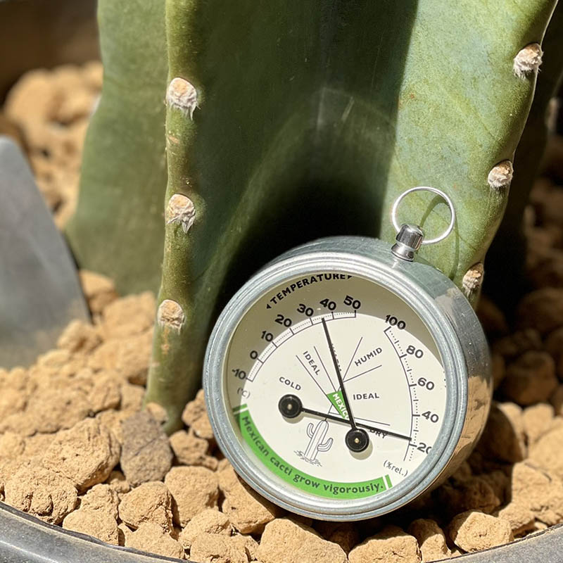 Dulton Thermo-Hygrometer Mexico – detail