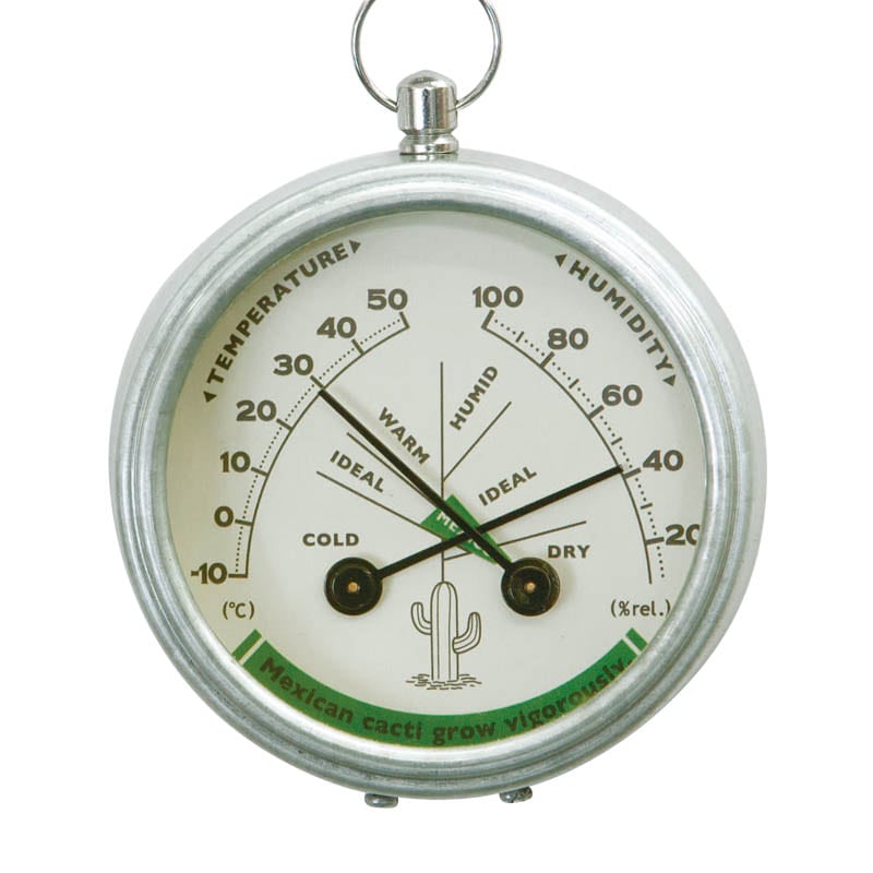 Dulton Thermo-Hygrometer Mexico – detail