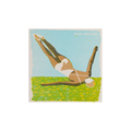 Archivist illustrated safety matches in a diver print box