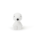 Snoopy Bundle of Light