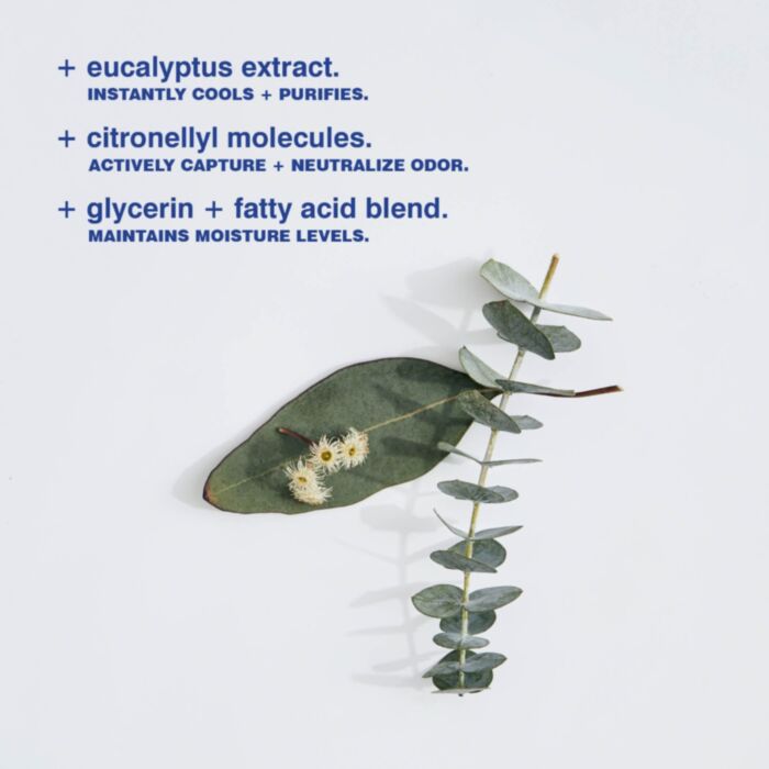 Malin + Goetz - Eucalyptus Deodorant Stick