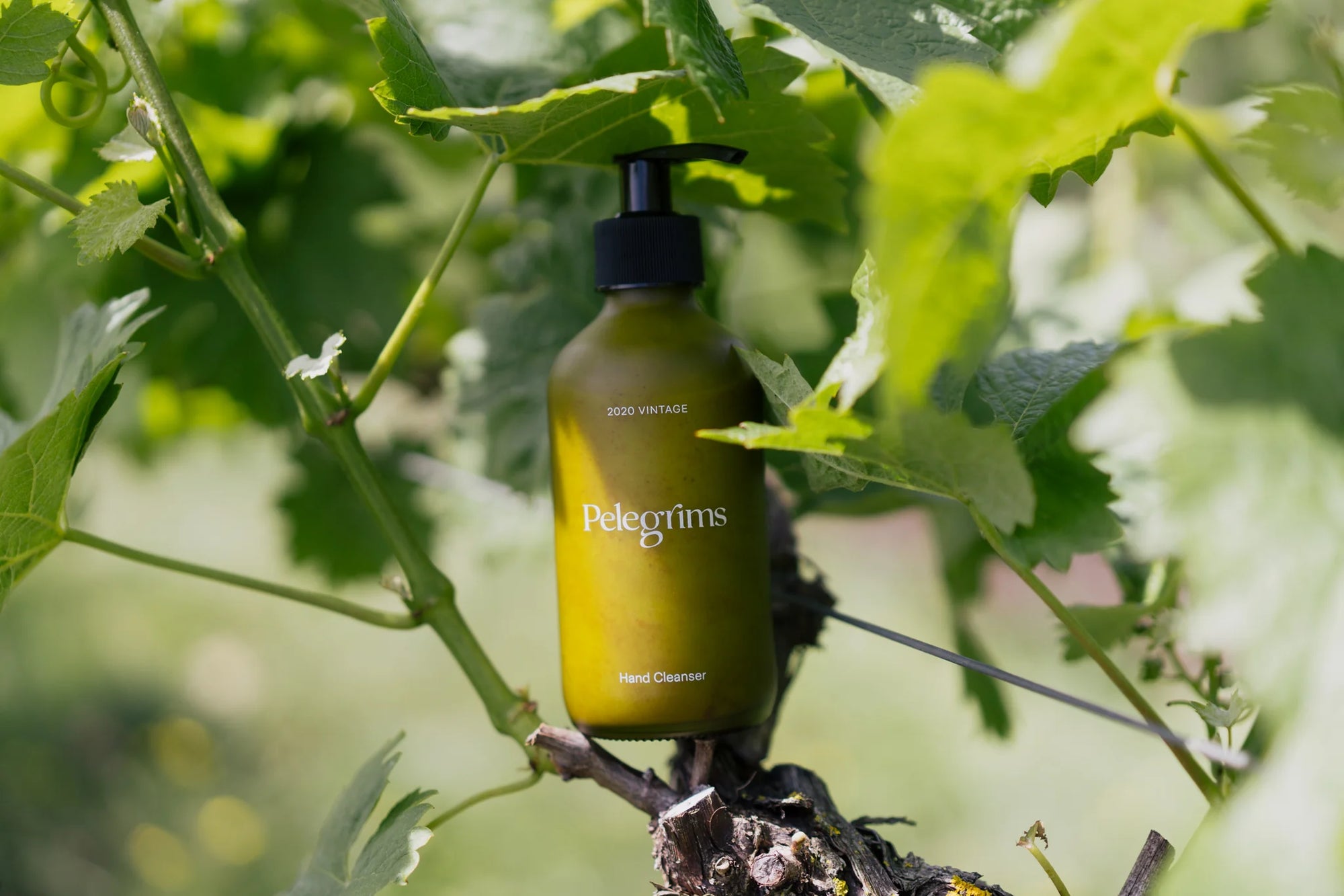 Pelegrims - Exfoliating Hand Cleanser